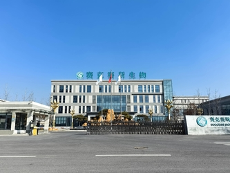 Shandong Saikesaisi Hydrogen Energy Co., Ltd প্রস্তুতকারকের উৎপাদন লাইন