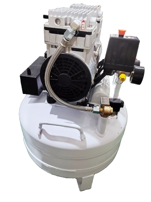 কেনা QL-50 50LPM ল্যাবরেটরি এয়ার জেনারেটর ধ্রুবক গ্যাস প্রবাহ ল্যাবরেটরি গ্যাস জেনারেটর অনলাইনে উৎপাদন